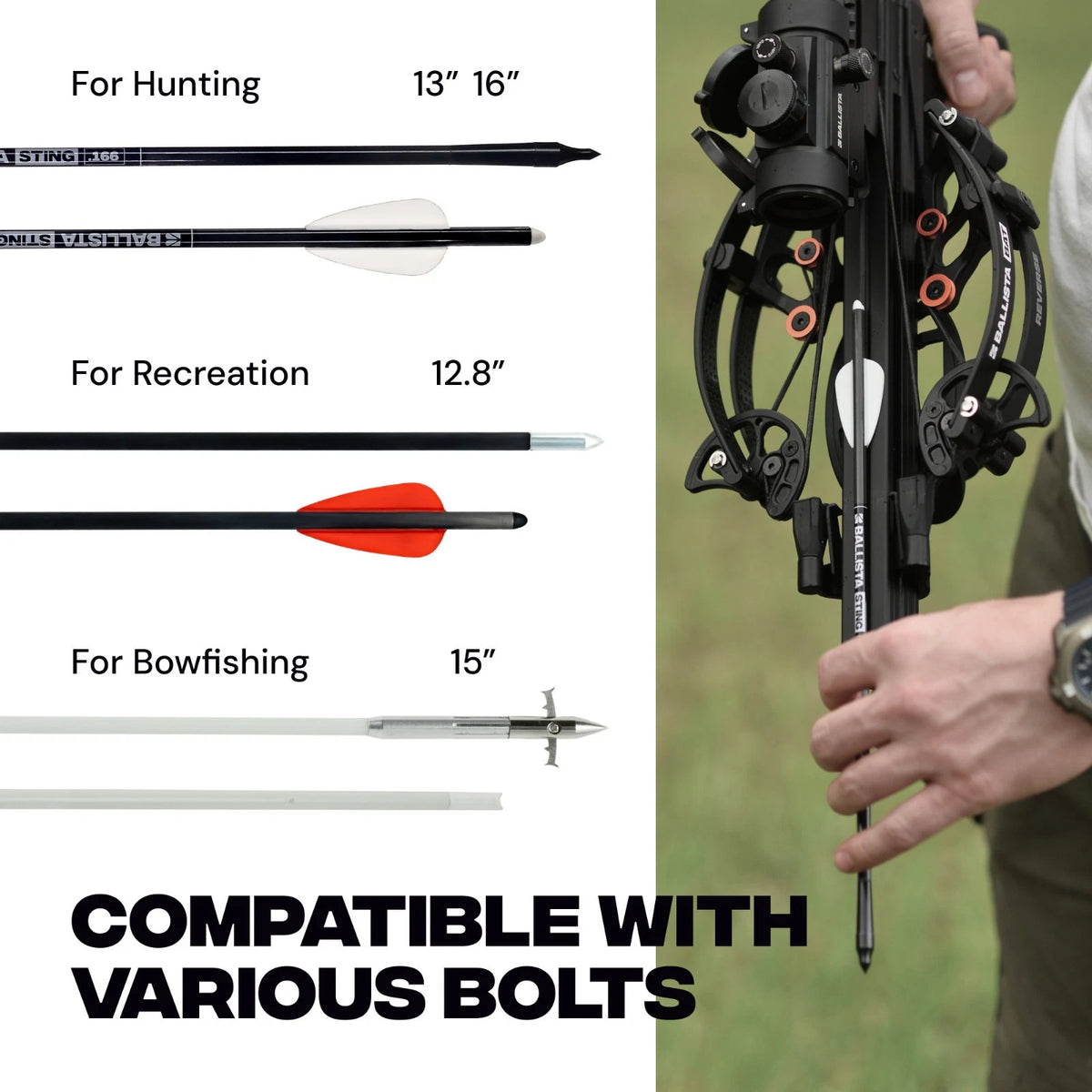 BALLISTA BAT Reverse Draw Compound Crossbow with L-Stock 340fps/150lbs/3.8lb